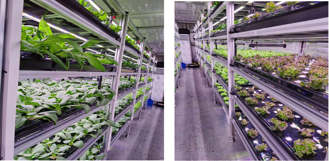 1612664606935338.png image.png