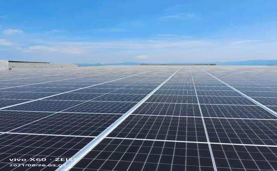 1626663688887229.png image.png