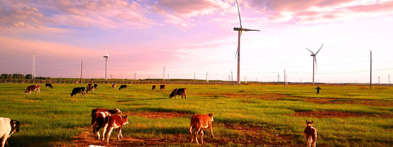 1651140553125136.png image.png