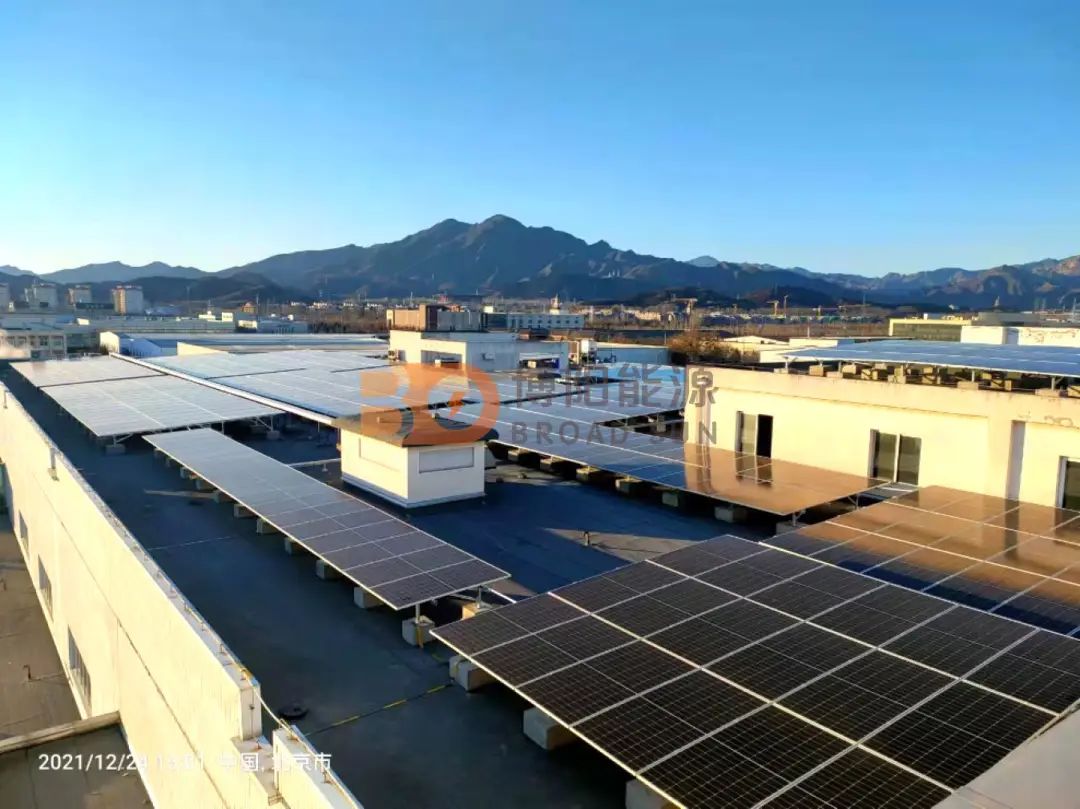 1676441512862701.jpg 1676441512862701.jpg