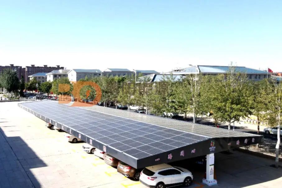 1676441644153623.jpg 1676441644153623.jpg