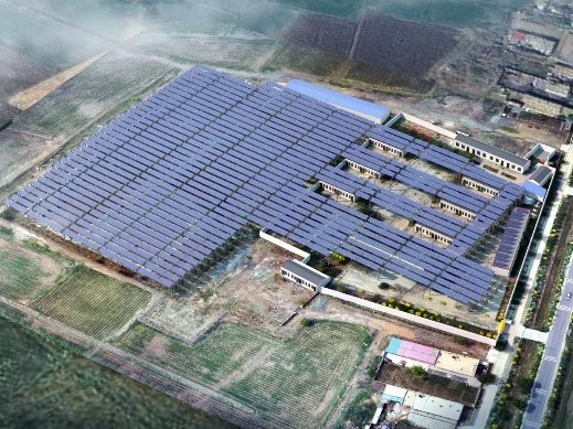 1743401163.jpg 1743401163.jpg