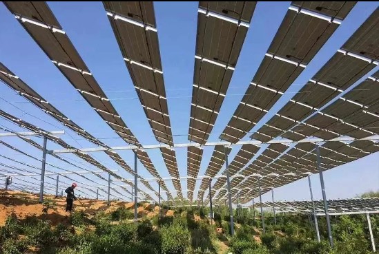 1743401203.jpg 1743401203.jpg